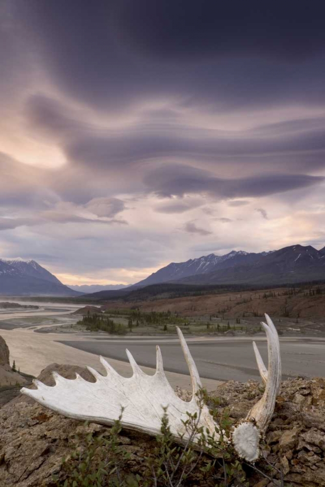 Canada, BC, Yukon, Moose antler and landscape art print by Don Paulson for $57.95 CAD